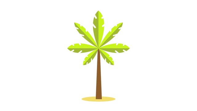 Animated palm tree / tropical plant, isolated on transparent background for your site, web banner or presentation, modern flat design conceptual style. Alpha channel.