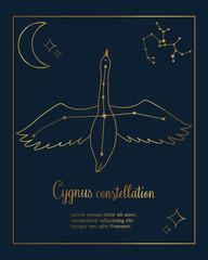 The constellation Cygnus star in the night sky © danceyourlife
