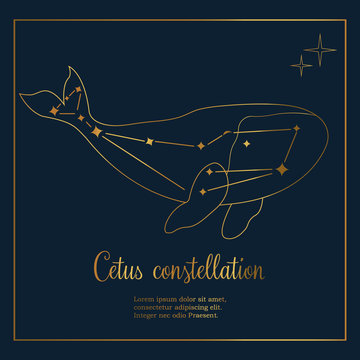 Golden Whale constellation in the night sky