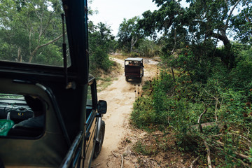two car drive in savannah on the sand road