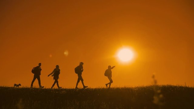 people hikers group and the dog silhouette of sunlight of tourists four people walking on top of a sunset silhouette mountain. slow video tourists hiker people group go travel nature. happy silhouette