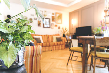 Modern interior of living room with design sofa with pillows, a lot of beautiful plants, wooden table and mock up frames on the white wall.  Stylish concept for nature lover.