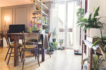 Stylish home interior with wooden shelf wit a lot of different plants, vintage table . Concept of...