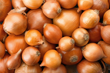 Fresh ripe onions as background