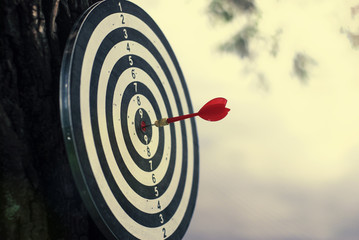 Shot red dart arrow in center of dartboard. Concept to target success and winner