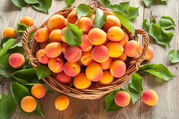 Many freshly picked ripe apricots with leaves in a basket on a wooden background