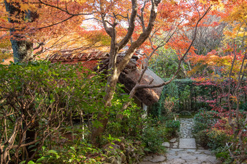 京都嵯峨野 厭離庵の紅葉