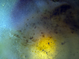 chemical experiment with paints