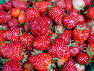 Closeup and selective focus of fresh organic strawberries have just been collected from the farm