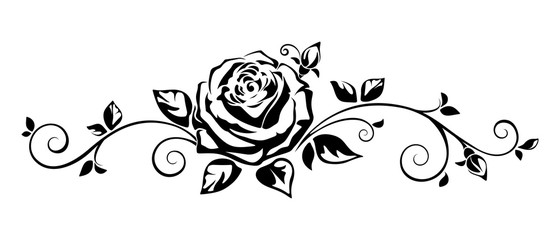 Vector horizontal black and white vignette with a rose.