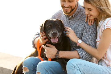 Cute brown labrador retriever with owners outdoors