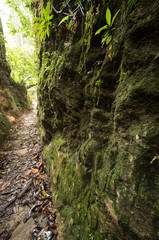 Penang National Park