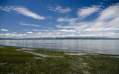 Cirrocumulus clouds over Puget Sound - 3