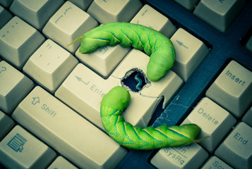 Computer security breach due to worm attack