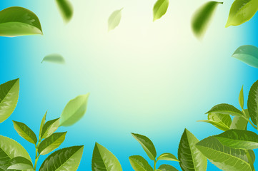 green tea leaves in motion on sky background.