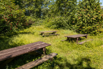 picnic area in the park covered by overgrow grasses under the sun
