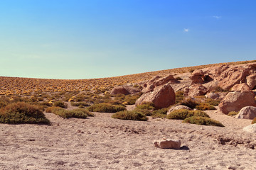 Fototapeta na wymiar Regiao do Geisers Atacama