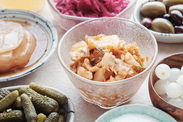 variety of fermented probiotic foods for gut health