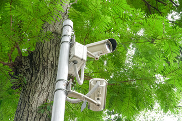 cctv security in garden on tree green nature background