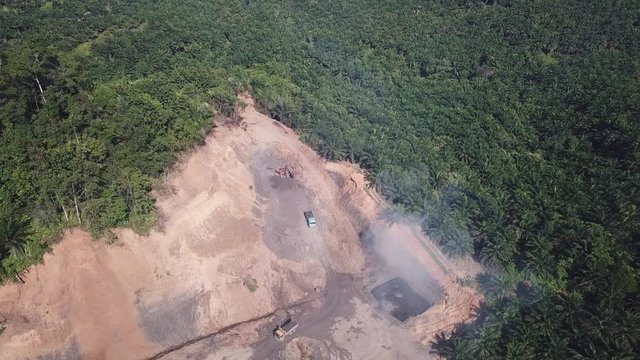 Deforestation. Logging of Borneo rainforest  