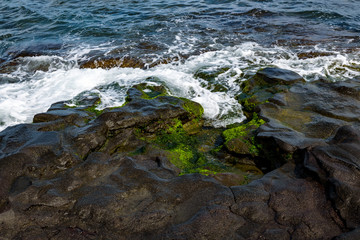 Smooth rocky shore with green algae meeting the water of the Pacific Ocean, big island, Hawaii
