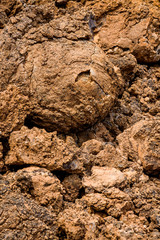 Ancient lava field of orange iron stained rock, with great texture and a round lava rock, Hawaii
