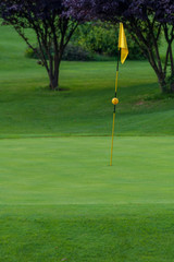 Obraz premium Golf Course, golf green with flag in the hole