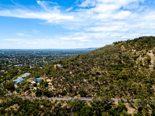 aerial view of road winding through australian forest