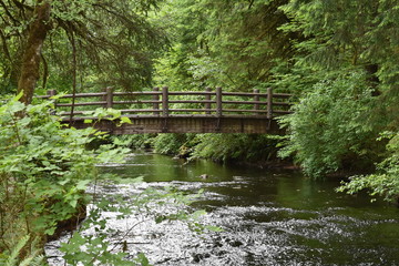 Wooden walking bridge across creek