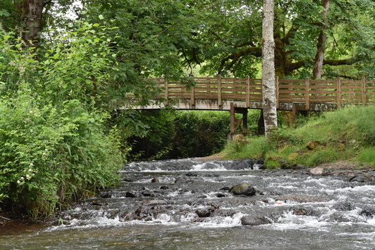 Wooden walking bridge across creek