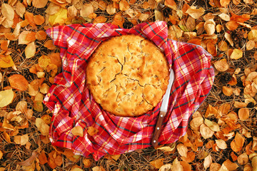 Top view on apple pie on the red checkered towel with knife on a background of dry yellow autumn leaves.