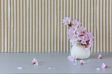 A small vase with sakura flowers and petals on the table.