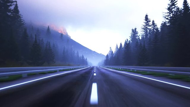 Loopable animation of empty forest asphalt road during foggy dusk or dawn.