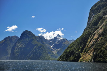 New Zealand. Cruise on the fjord of Milford Sound