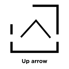 Up arrow icon vector sign and symbol isolated on white background, Up arrow logo concept