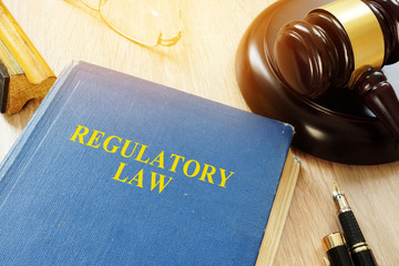 Regulatory law and gavel in a court.