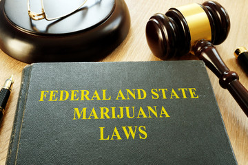 Federal and State Marijuana Laws and gavel in a court. - obrazy, fototapety, plakaty
