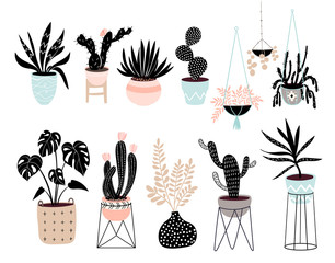 Hand drawn house plants collection with different tropical plants isolated on white