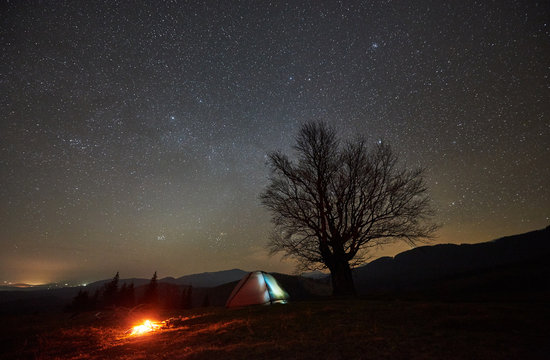 Bright campfire burning near tourist illuminated tent. Night camping in mountains under beautiful starry sky. Silhouette of big tree and distant hills on background. Tourism and traveling concept