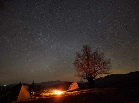 Incredible night camping site view. Bright bonfire burning between two tourist tents under beautiful dark starry sky on big tree and distant mountain range background. Tourism and traveling concept.