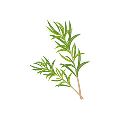 Rosemary branch illustration
