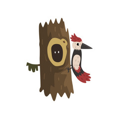 Woodpecker on a hollow tree, hollowed out old tree and cute animal cartoon character inside vector Illustration on a white background