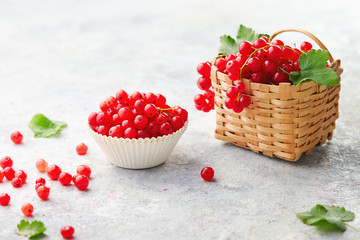 Fresh Red Currants