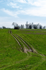 Fototapeta na wymiar Tractor tire tracks in green grass