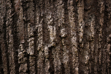 close up of rough wall texture background.