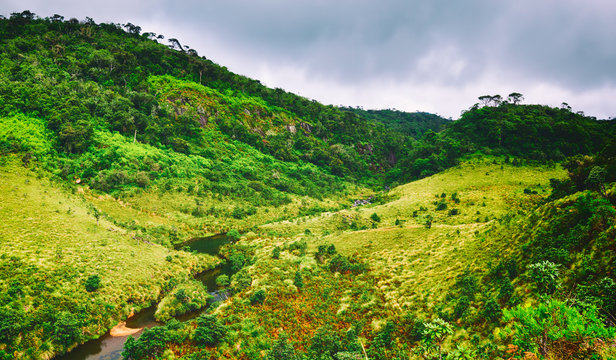 The Horton Plains. Beautiful landscape. Sri lanka panorama