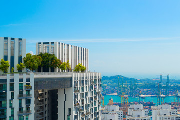 Beautiful rooftop view from sky bridge.  Living building with garden on the top in Singapore. Aerial view of the commercial port.