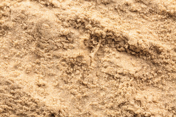 Beach wet sand, closeup