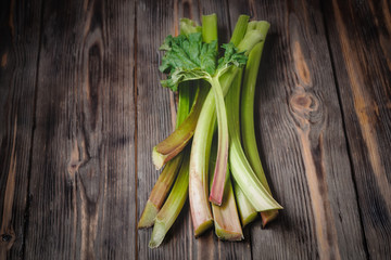 Stems of fresh young rhubarb