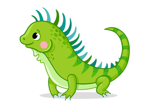 Cute iguana on a white background. Vector illustration with an animal in cartoon style. Picture on a children's theme.